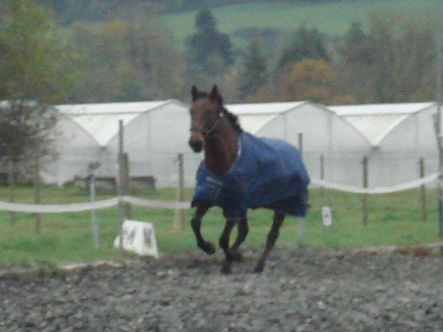 dsc05464.jpg