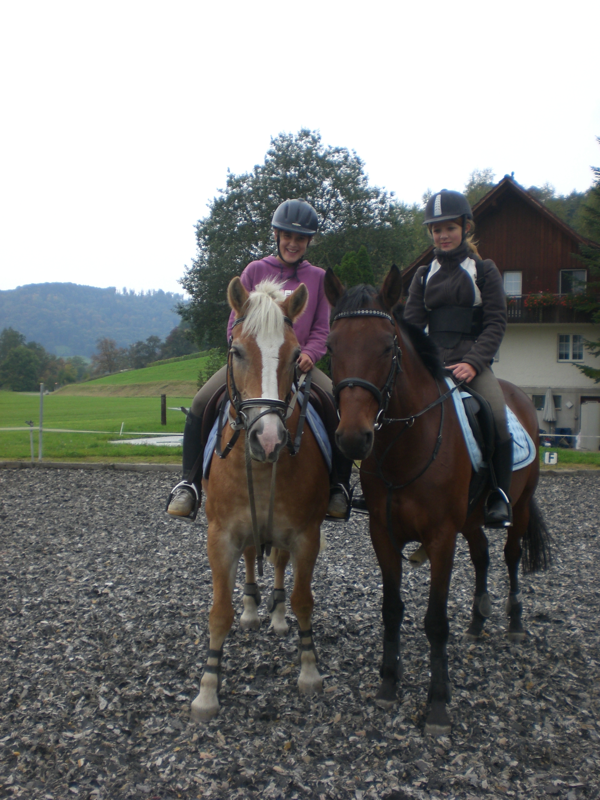 stalltrio015.jpg
